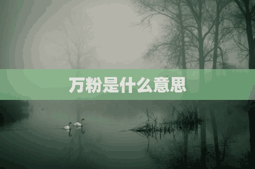 万粉是什么意思